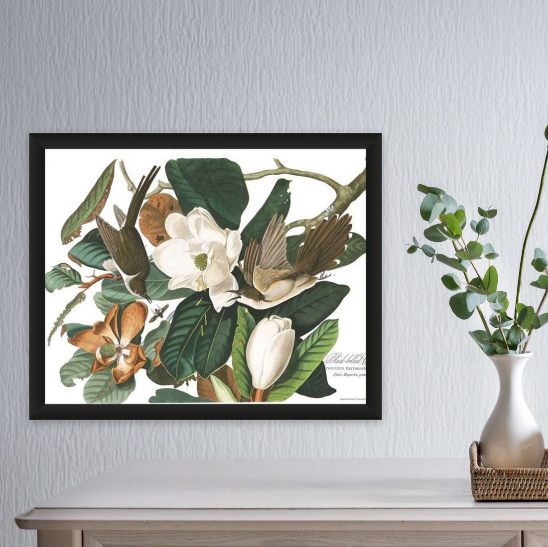 John James Audubon - Charting Nature
