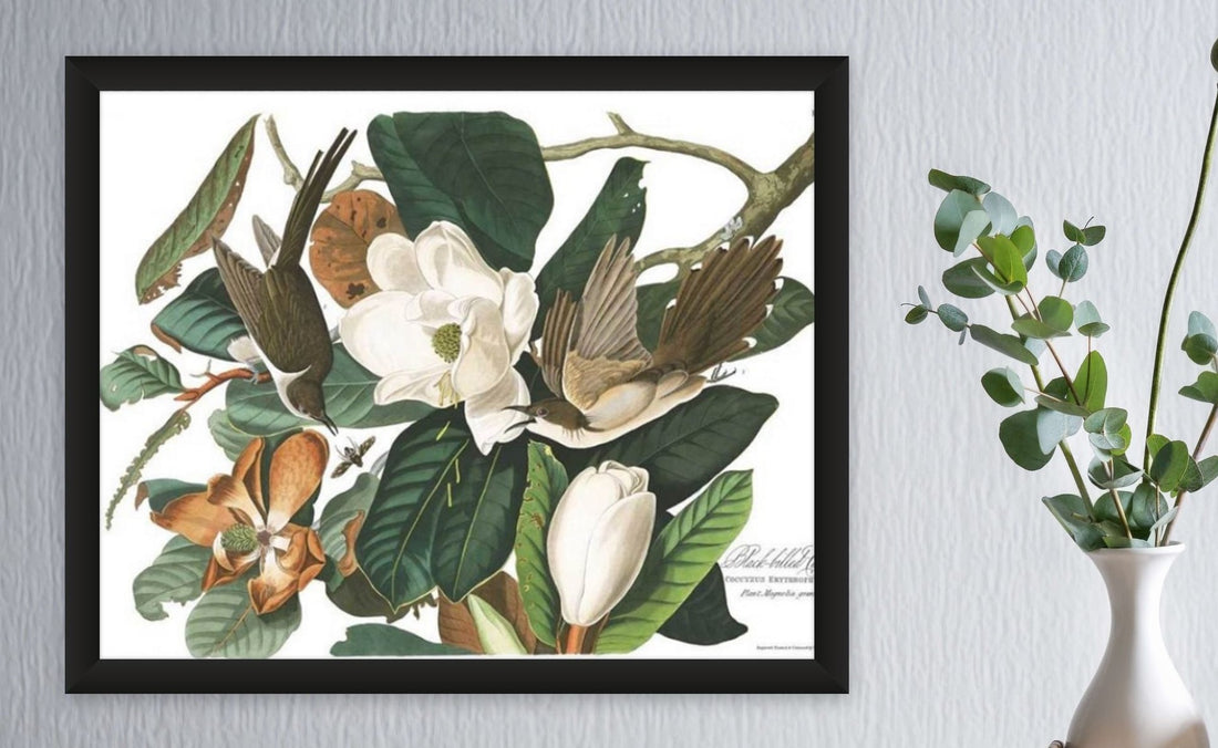 The Audubon Effect: - Charting Nature