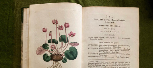 Curtis Botanical Magazine - Charting Nature