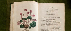 Curtis Botanical Magazine
