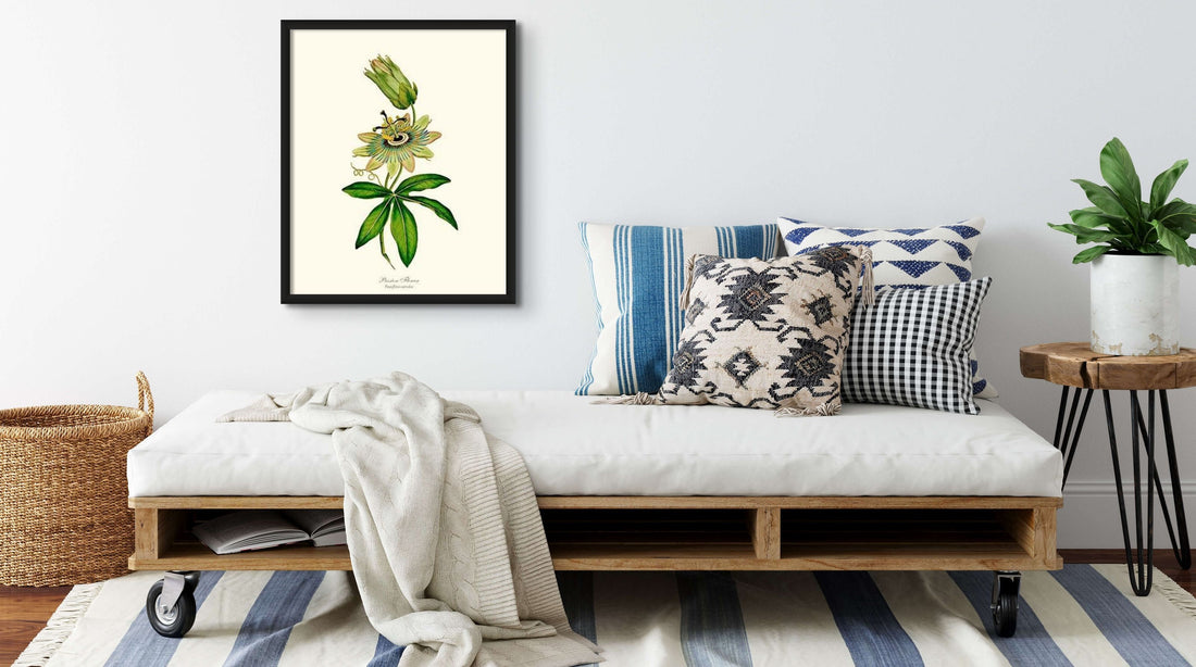 Passion Flower - Charting Nature