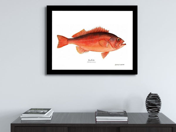 Fish Prints - Gillespie