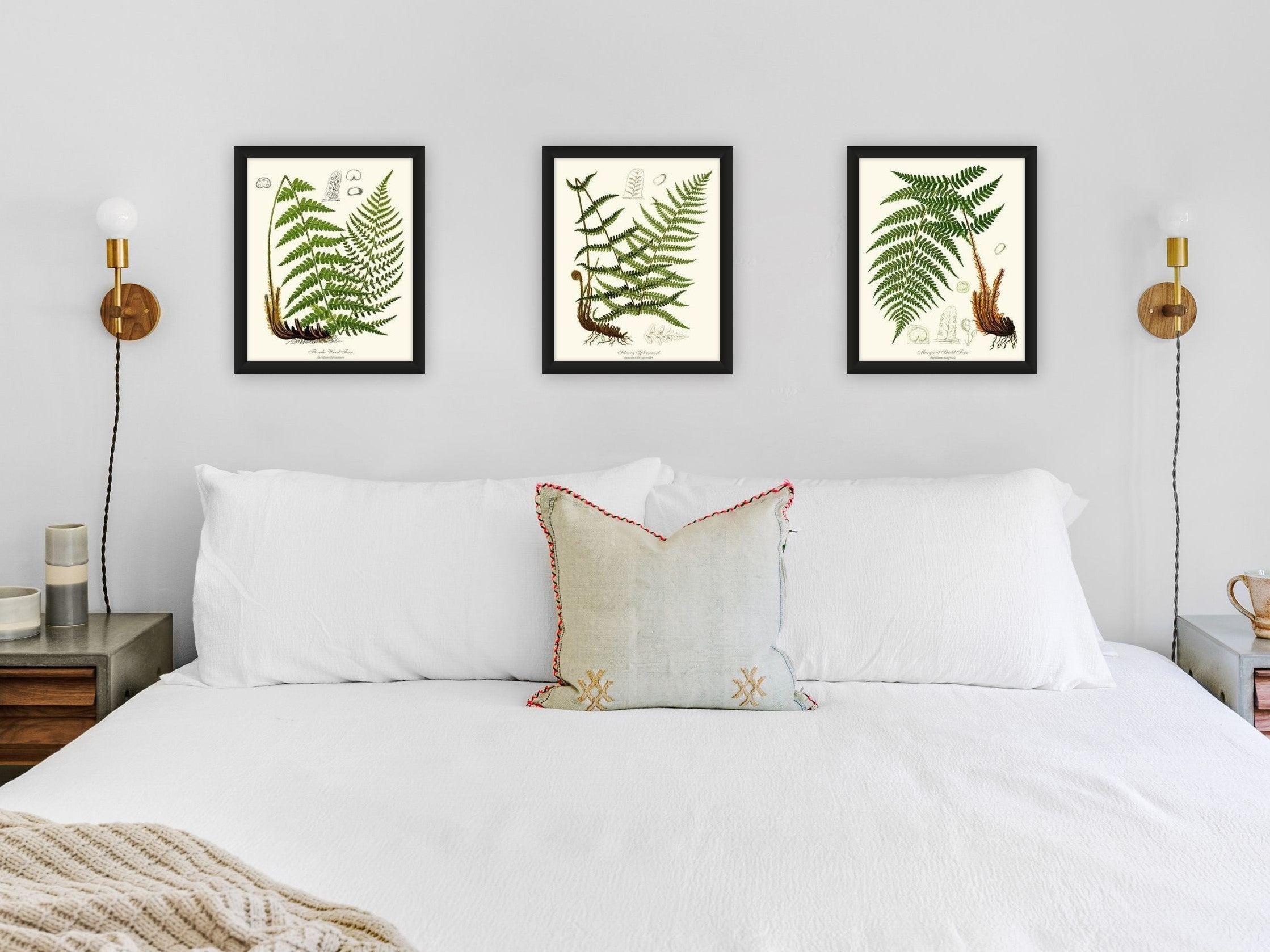 Sets, – Nature Print Unframed Framed, Charting Botanical