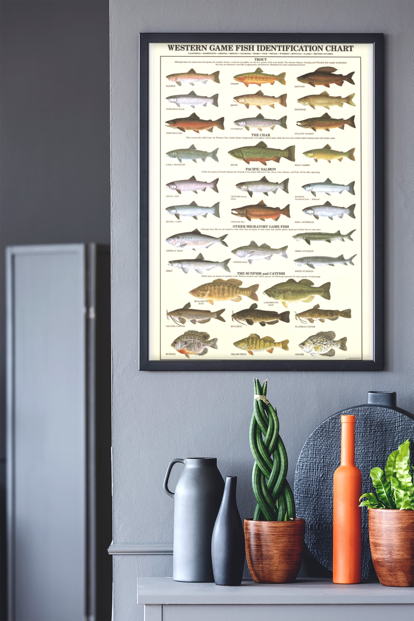 Western Gamefish Poster & Identification Chart. Sport Fisherman Wall Art