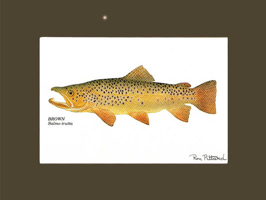 Northern Pike | matted gamefish wall art print | Angler's Decor
