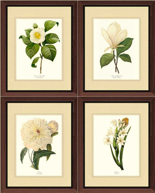 White Botanical Flower Wall Art Prints Set | Flower/Floral Art Print