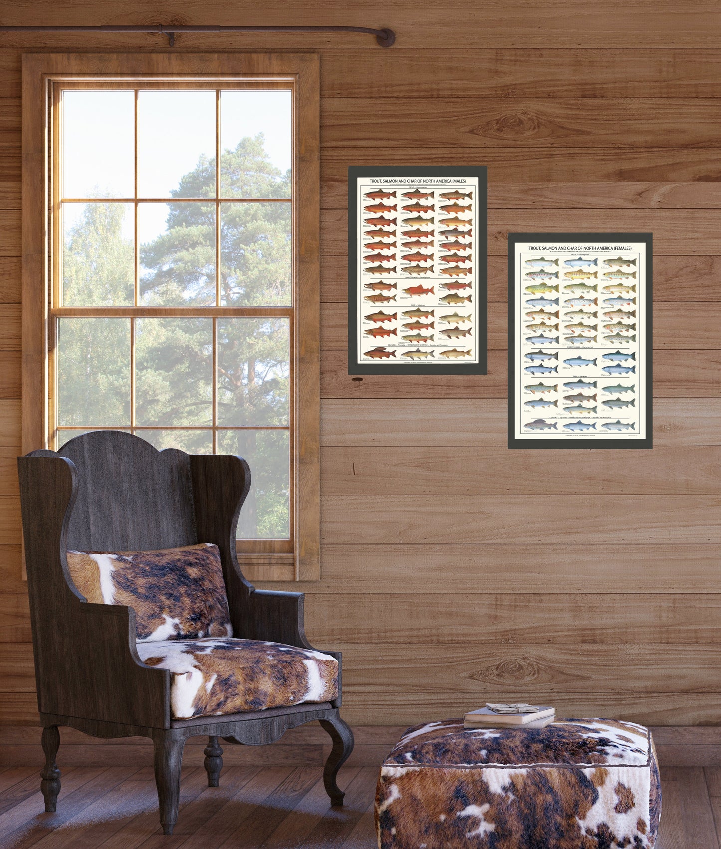 Trout, Salmon Male & Female Identification Chart Set - 12"x18"