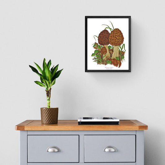 Morel Mushroom | Vintage Mushroom Art Print