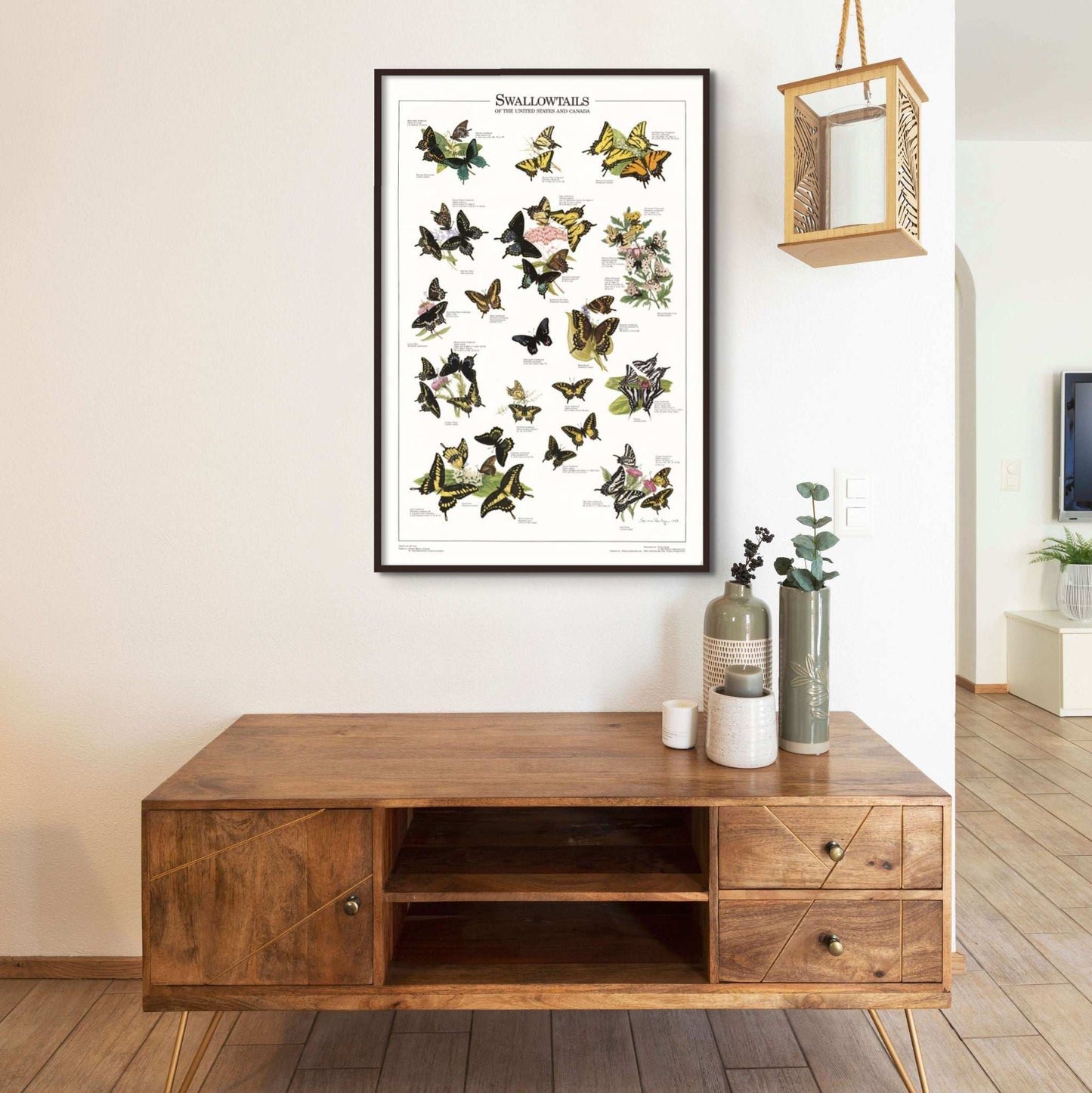 Swallowtails of the U.S. and Canada - Charting Nature