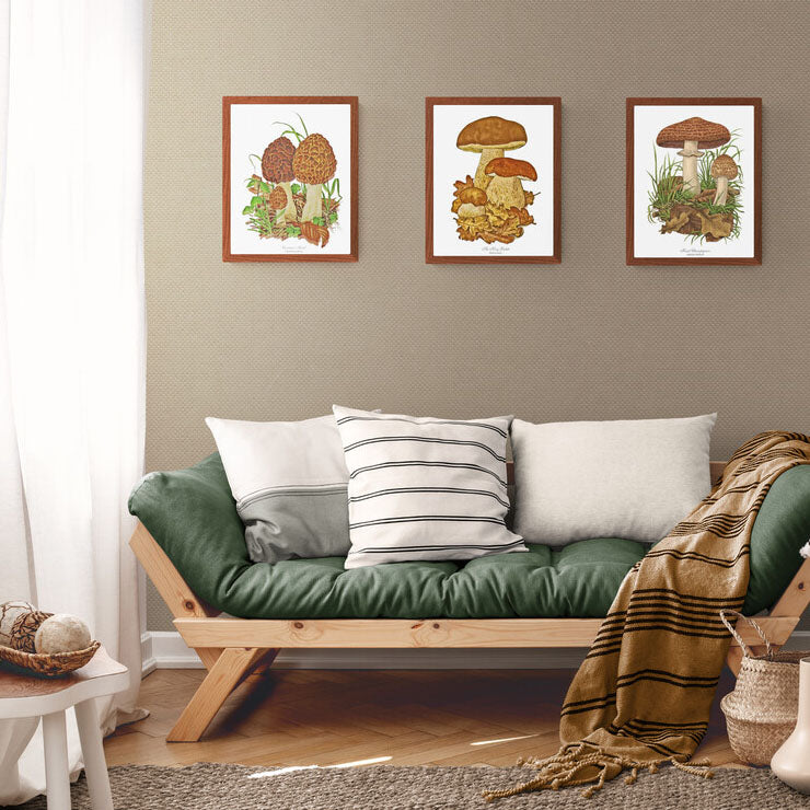 Vintage Mushroom Wall Art Print Set | Vintage Mushroom Art Print