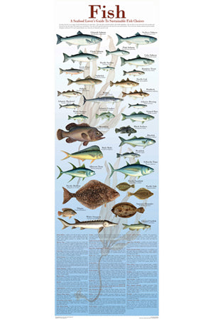 Seafood Poster and Guide To Sustainable Fish 12x36