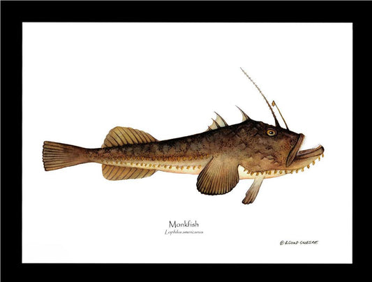 Monkfish Lophilus americanus | Wall Art Fish Print