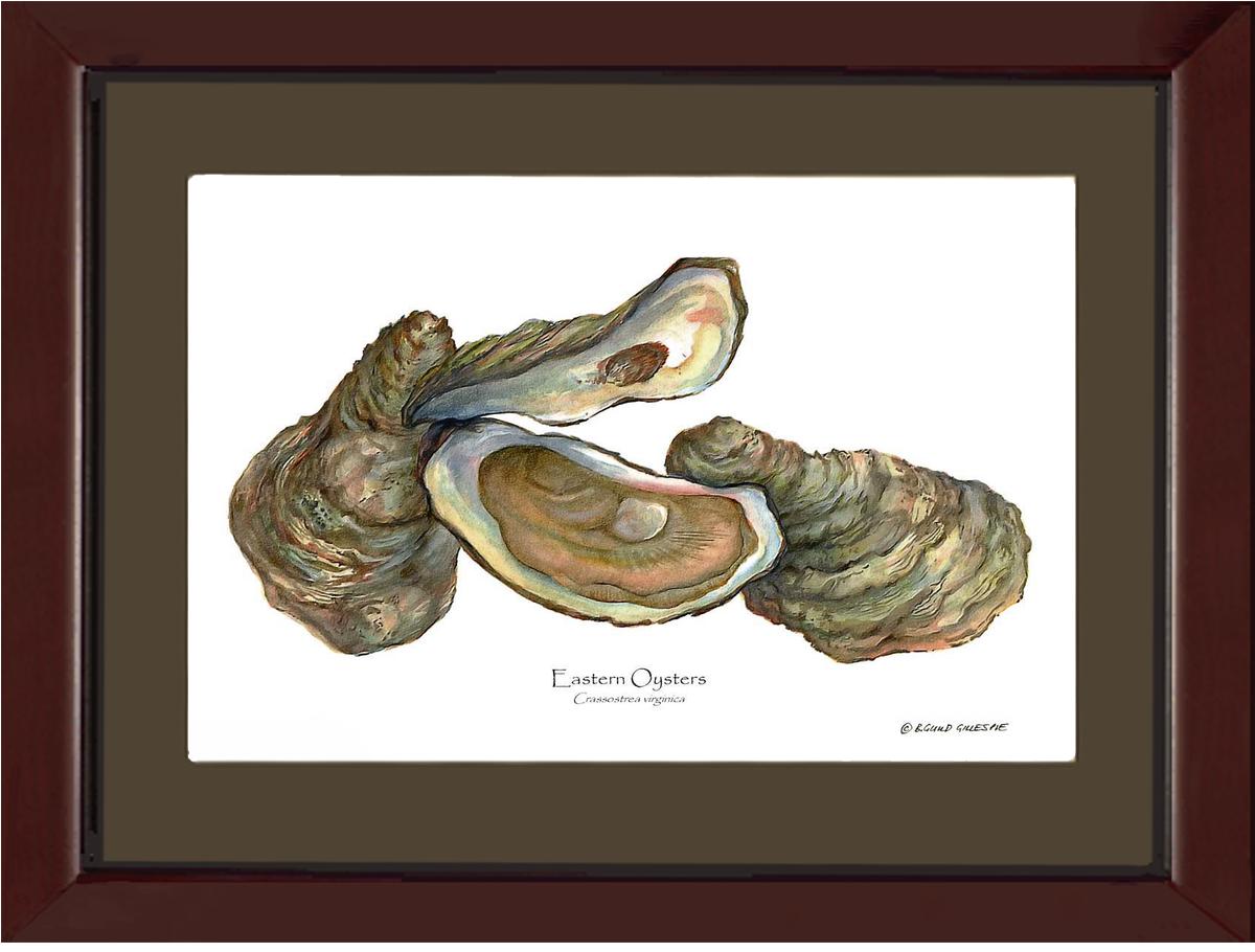Oysters, Eastern | Wall Art Shellfish Print