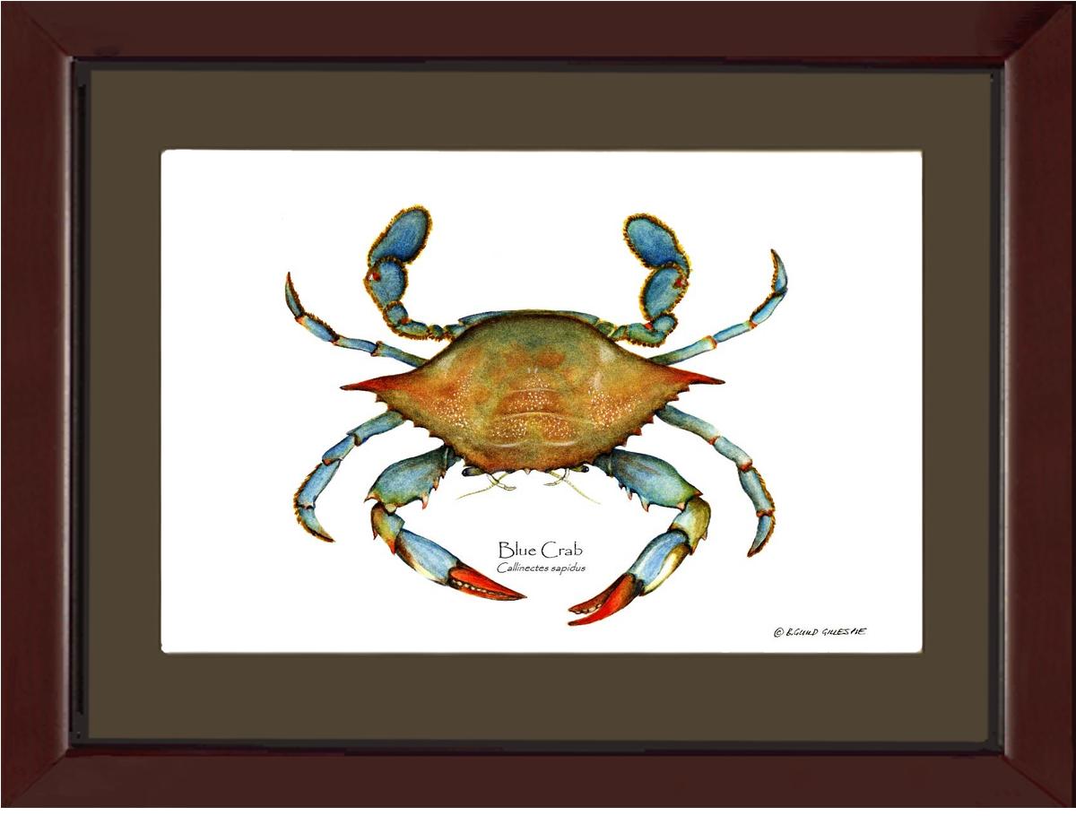 Crab, Blue | Wall Art Shellfish Print
