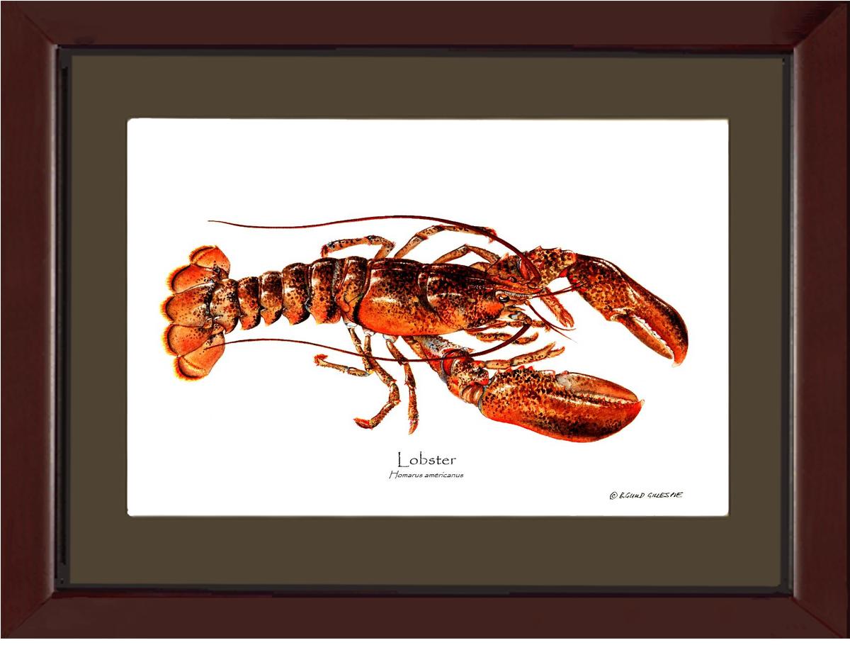 Lobster | Wall Art Shellfish Print