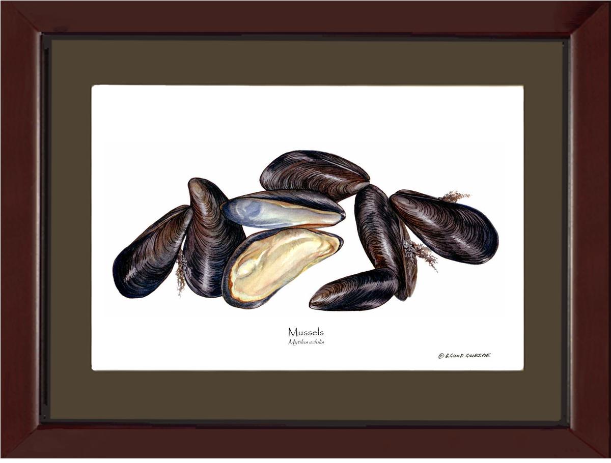 Shellfish Print: Mussels | Wall Art Shellfish Print