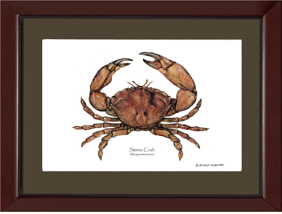 Crab, Stone | Wall Art Shellfish Print