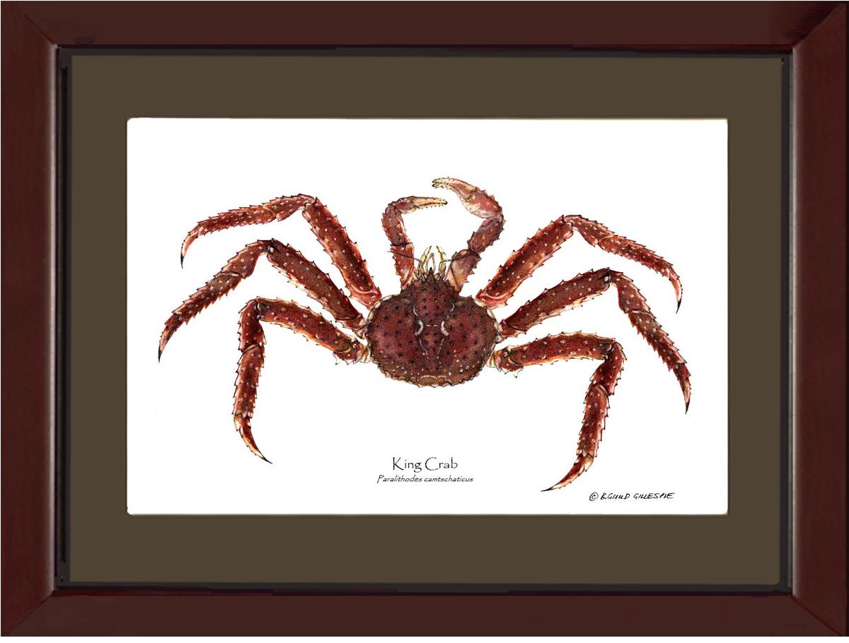 Crab, King | Wall Art Shellfish Print