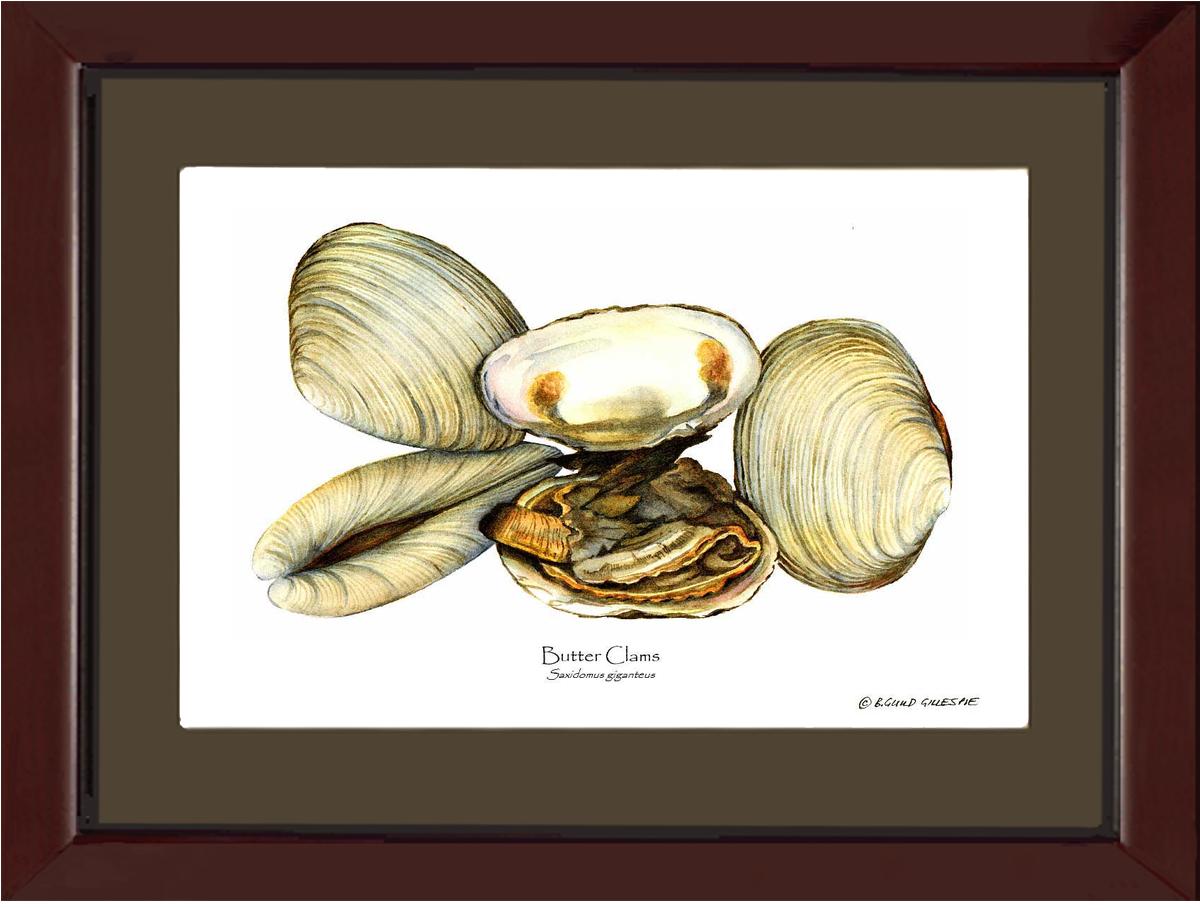 Clams, Butter | Wall Art Shellfish Print