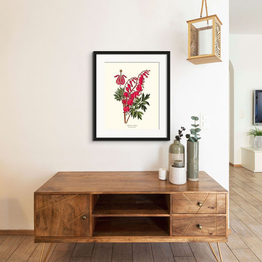 Bleeding Heart | Flower/Floral Art Print