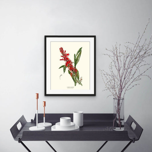 Cardinal Flower | Flower/Floral Art Print