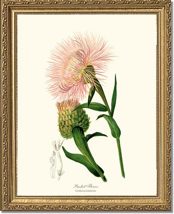 Basket Flower | Flower/Floral Art Print