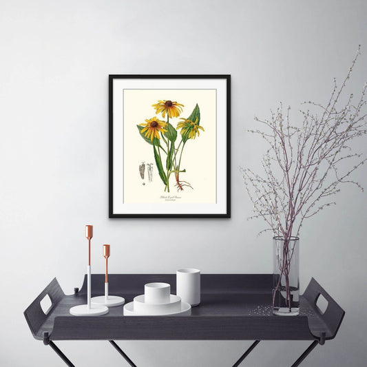 Black-Eyed Susan | Flower/Floral Art Print