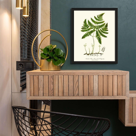 Tender Three Branched Polypody Fern Botanical Wall Art Print-Charting Nature