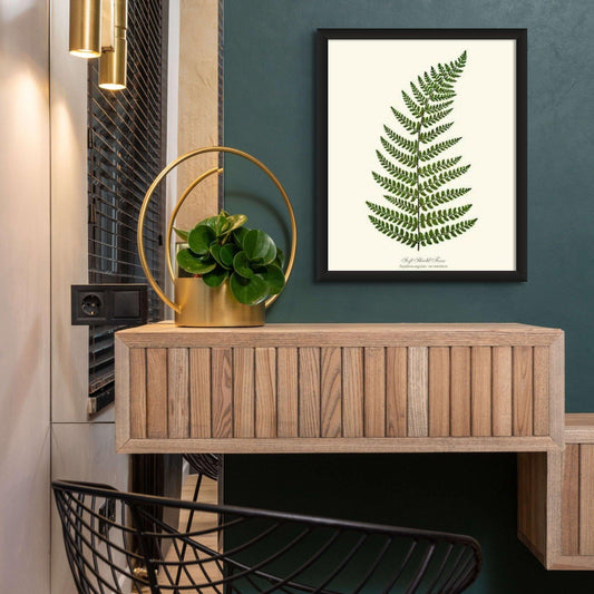 Soft Shield Fern Botanical Wall Art Print-Charting Nature