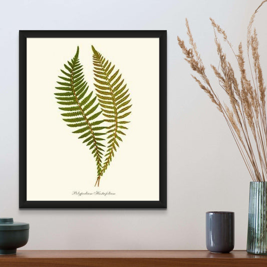 Polypodium hastaefolium Botanical Wall Art Print-Charting Nature