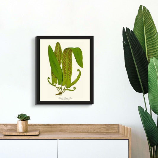 Hartstongue Fern Botanical Wall Art Print-Charting Nature