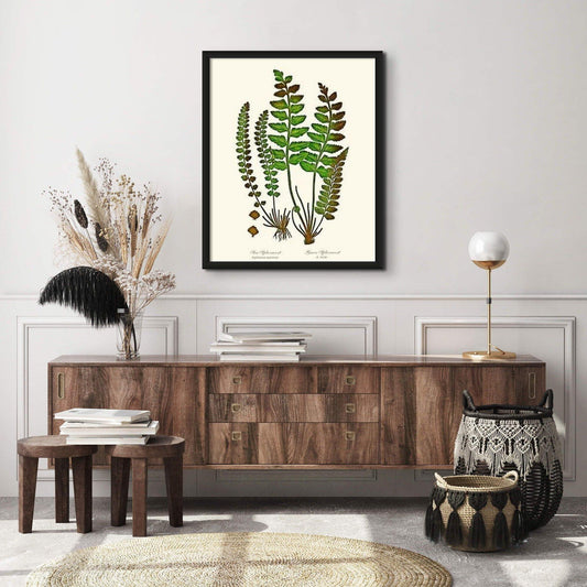 Spleenworts Botanical Wall Art Print-Charting Nature