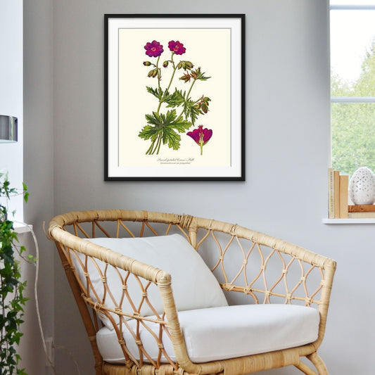Crane's Bill | Flower/Floral Art Print