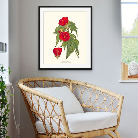 Abutilon, Hybrid | Flower/Floral Art Print