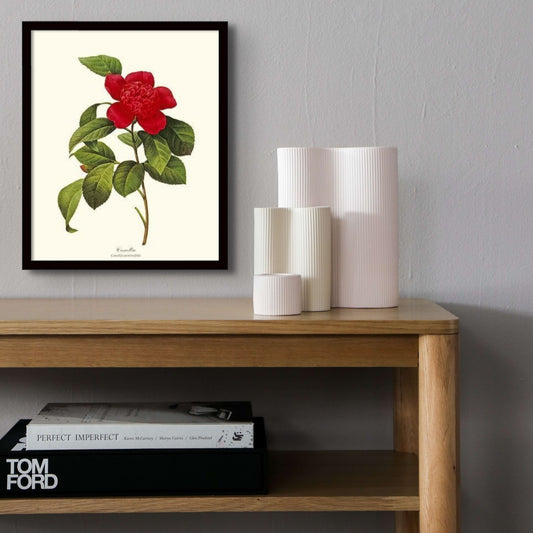 Camellia | Flower/Floral Art Print