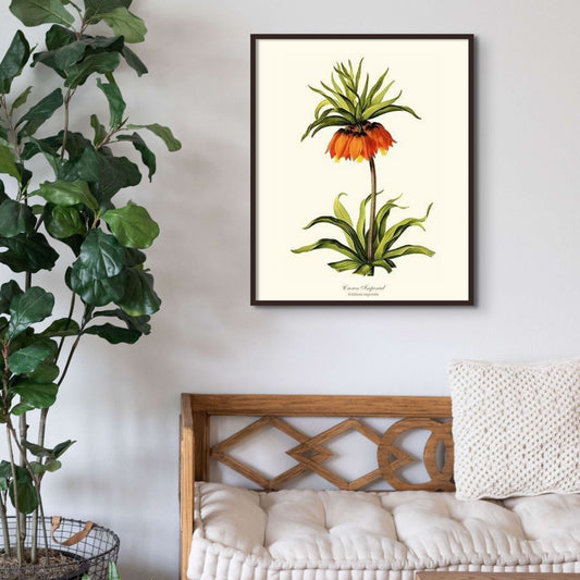 Crown Imperial | Flower/Floral Art Print
