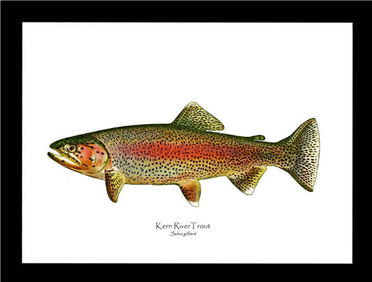 Kern River Trout | Wall Art Fish Print Vintage Wall Art Fish Print