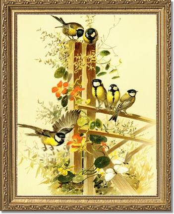Great Tits Parus major | Victorian Wall Art Print