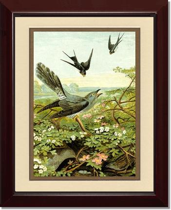 Victorian Print: Swallows | Victorian Wall Art Print