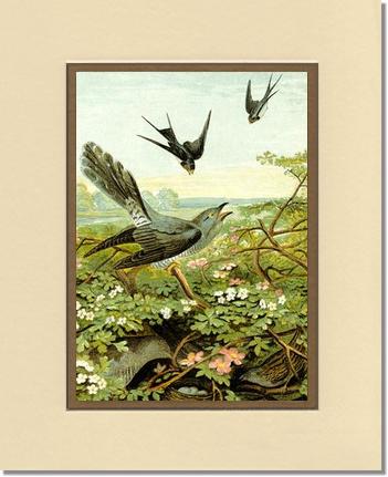 Victorian Print: Swallows | Victorian Wall Art Print