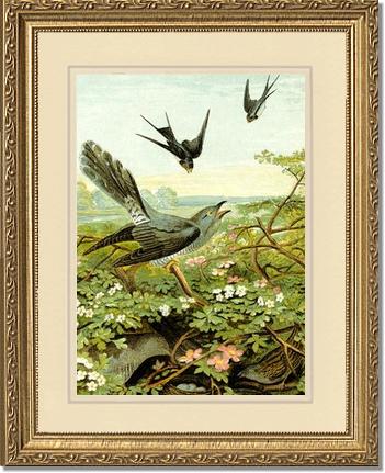 Victorian Print: Swallows | Victorian Wall Art Print