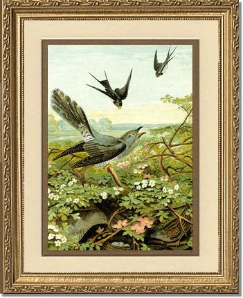 Victorian Print: Swallows | Victorian Wall Art Print