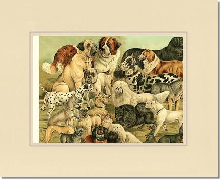 Victorian Print: Antique Dogs | Victorian Wall Art Print