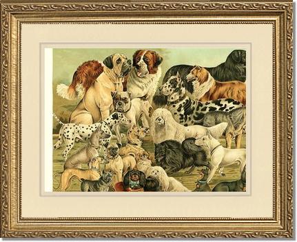Victorian Print: Antique Dogs | Victorian Wall Art Print