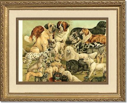 Victorian Print: Antique Dogs | Victorian Wall Art Print
