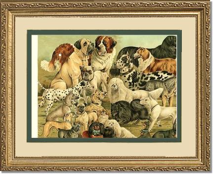 Victorian Print: Antique Dogs | Victorian Wall Art Print