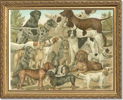 Victorian Print: Antique Dogs | Victorian Wall Art Print