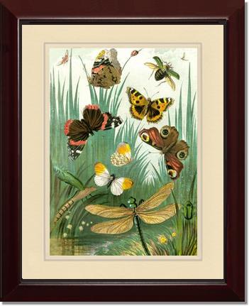 Butterflies #1 - Vintage Nature Wall Art | Victorian Wall Art Print