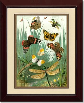 Butterflies #1 - Vintage Nature Wall Art | Victorian Wall Art Print