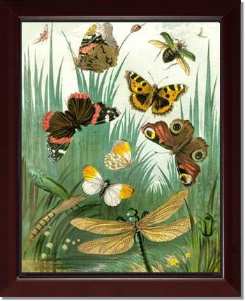Butterflies #1 - Vintage Nature Wall Art | Victorian Wall Art Print